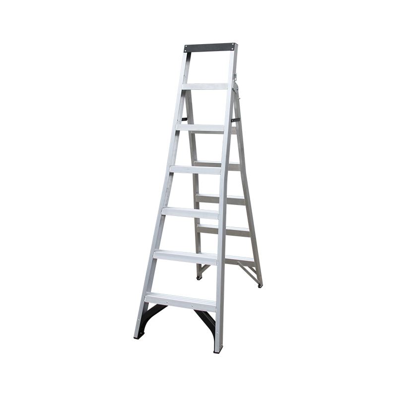重型两用梯
